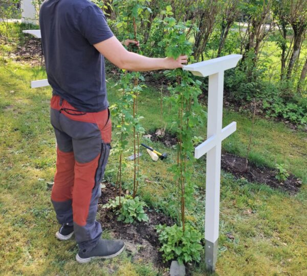 a855f0dc-72c4-41c2-8304-29a7d6c7b5d9 Hallonstolpar i par, inklusive jordankare