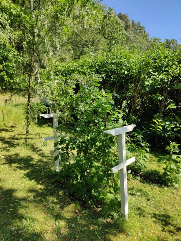 b12cc6a9-dc55-4215-9dae-ec1924d4a7f1 Hallonstolpar i par, inklusive jordankare